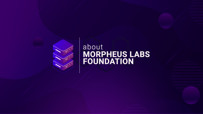 Morpheus Labs Foundation Announcement Morpheus Labs Pte Ltd 