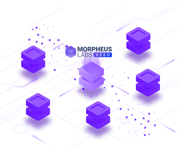 Solutions Morpheus Labs 